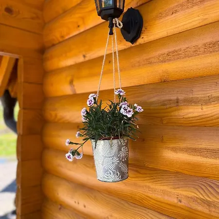 Brvnare Madera Banja Semesterbostad